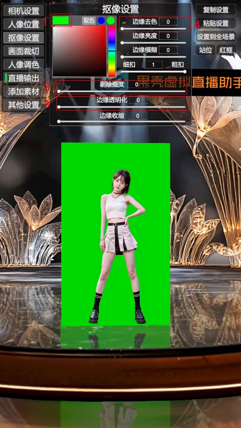 抠像前：画面中还有绿幕